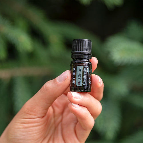 doTERRA Zwart sparrenhout