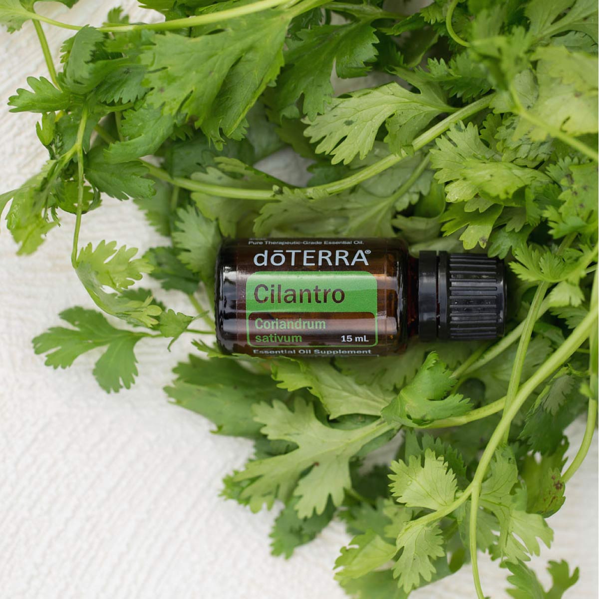 doTERRA Cilantro (korianderkruid)