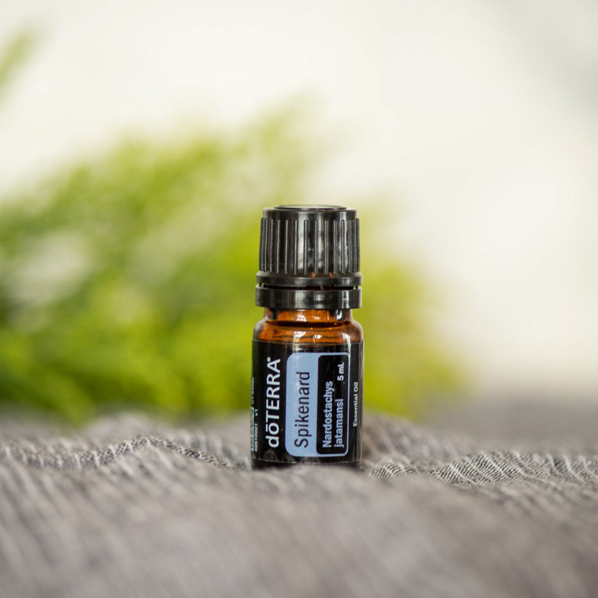 doTERRA Nardus (Indische Nardus)