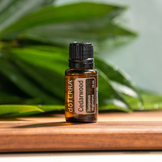 doTERRA Cedarwood (Zedernholz)