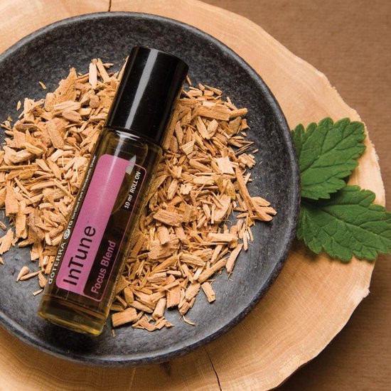 doTERRA InTune™ Focus Blend
