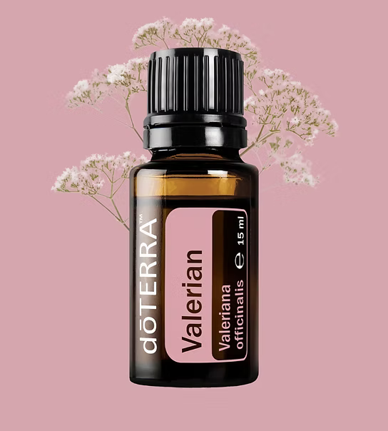 doTERRA Valerian - Baldrian (Valeriana officinalis)