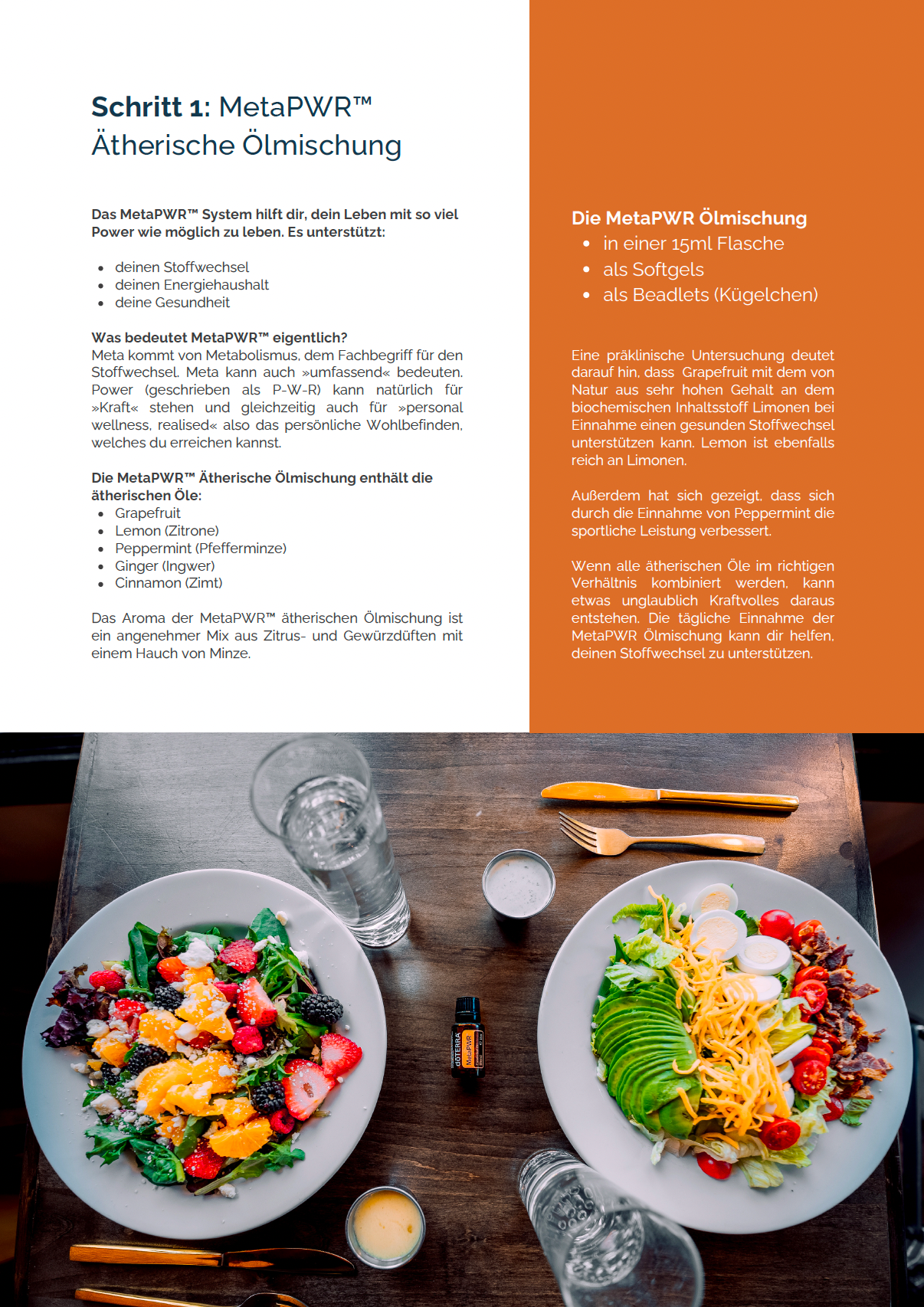 MetaPWR-brochure A4 (12 pagina's)