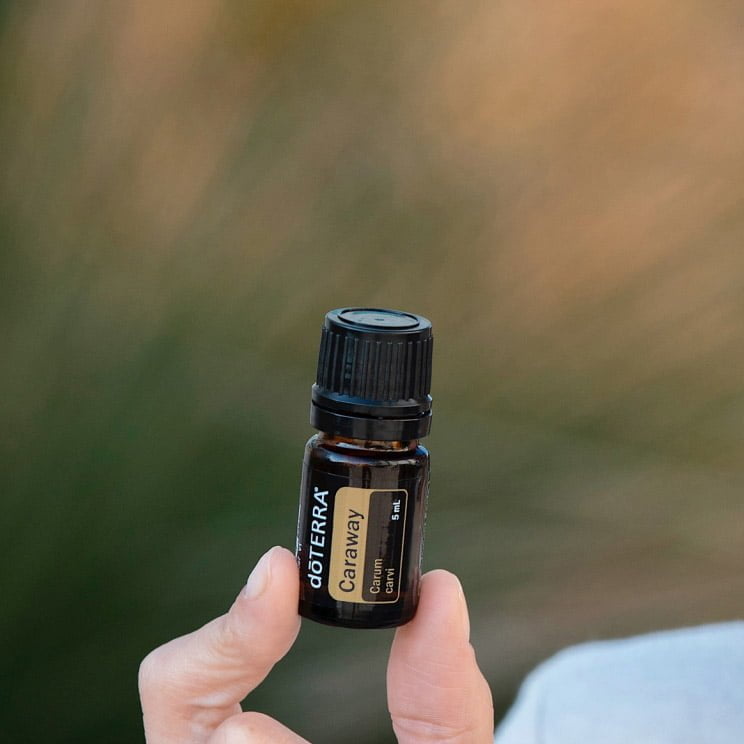 doTERRA Caraway (Kümmel)