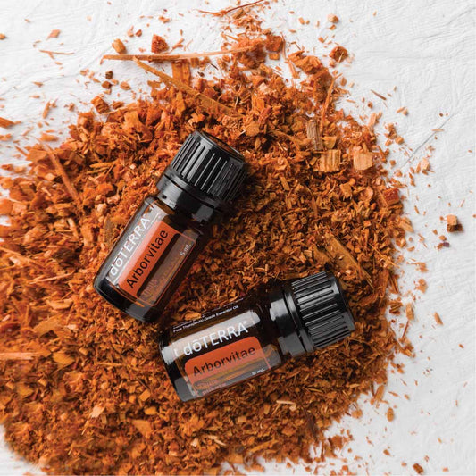 doTERRA Arborvitae (Lebensbaum)