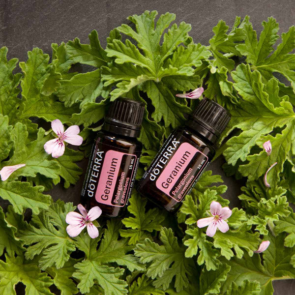 doTERRA Geranium (Geranium)