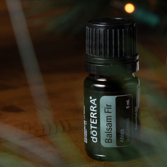 doTERRA Balsam Fir (Balsam-Tanne)