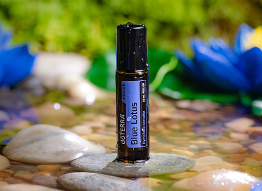 doTERRA Blue Lotus Touch Nymphaea caerulea