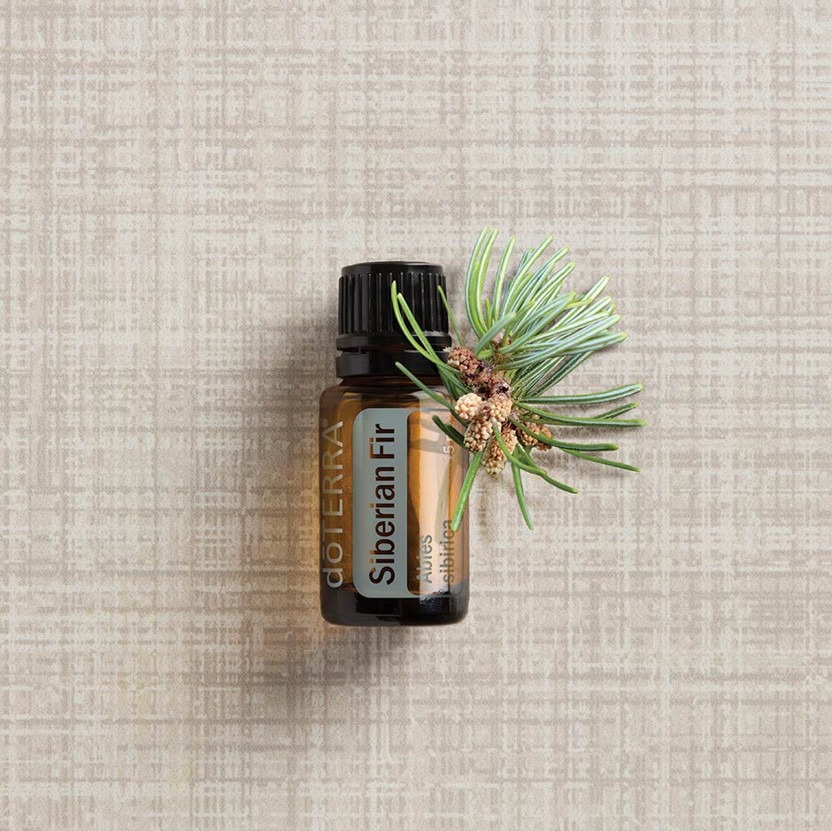 doTERRA Siberische spar 