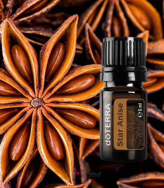 Star Anise (Stern Anis - Illicium verum)