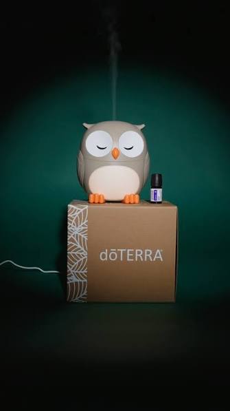 doTERRA Owl Diffuser